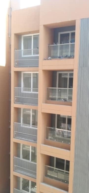 3 BHK Apartment For Rent in Avikam Giriraj Zundal Ahmedabad  8321270