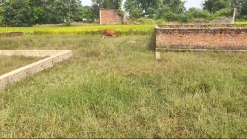 Plot Area in  Plot at Ratu Road – for Sale
