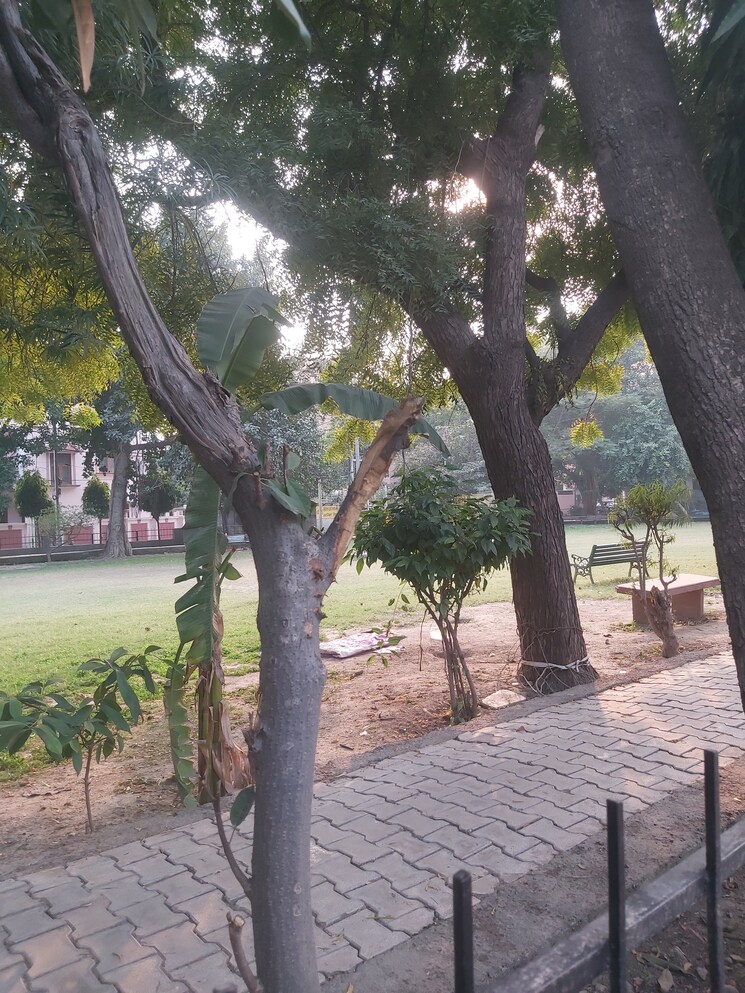 Exterior View, raj nagar extension  200 Sq.Yd. Plot In Raj Nagar Extension Ghaziabad 8321452