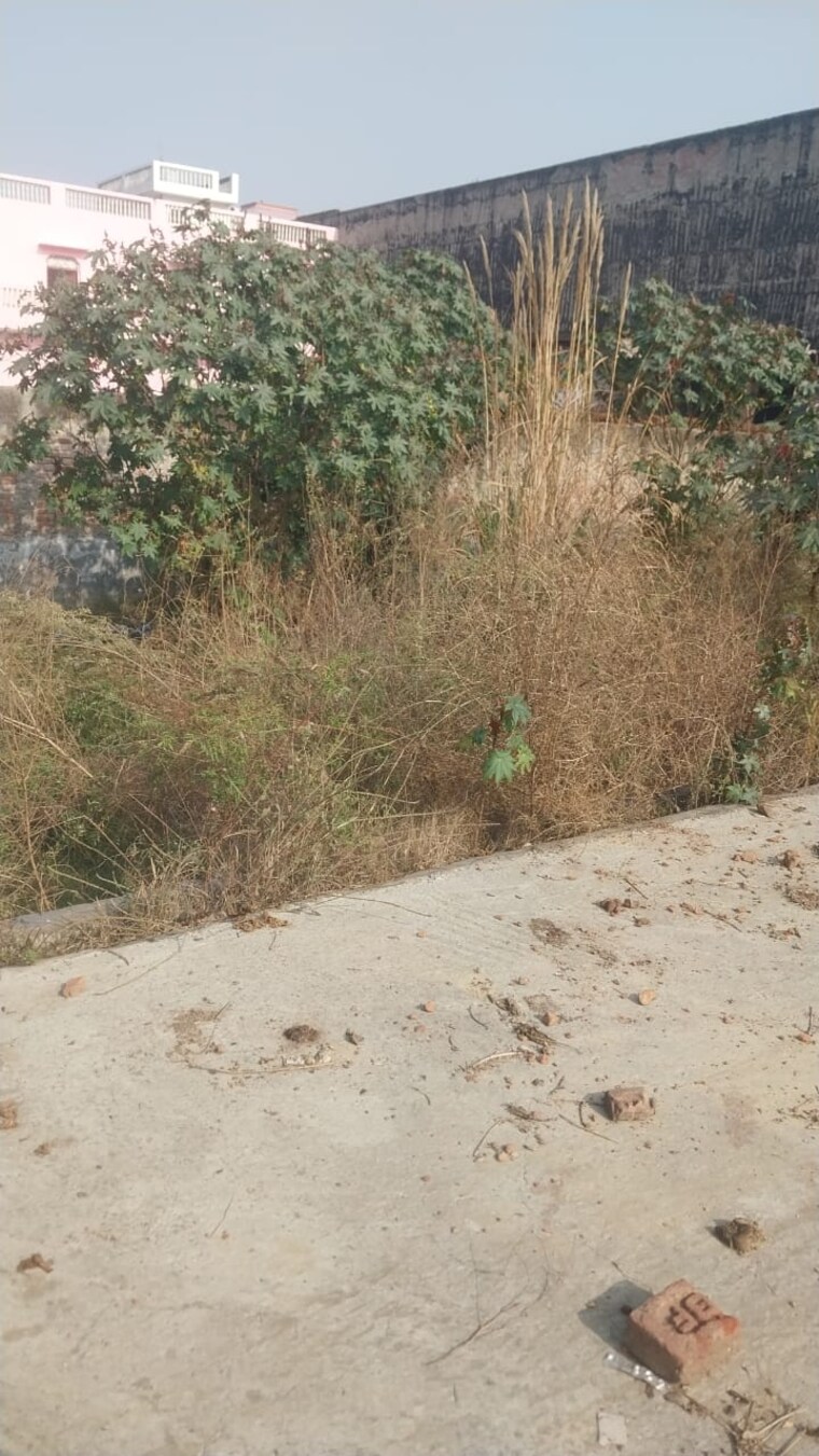 undefined, krishna-enclave-morta  108 Sq.Yd. Plot In Morta Ghaziabad 8321623
