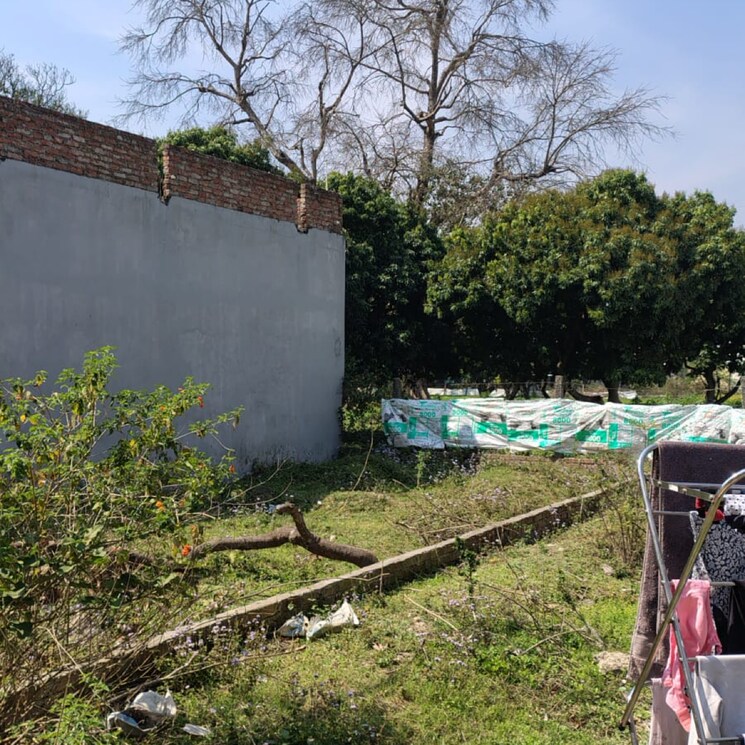 Garden, prem nagar  108 Sq.Yd. Plot In Prem Nagar Dehradun 8321965