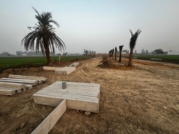 Plot Area in  Plot at Tappal – for Sale