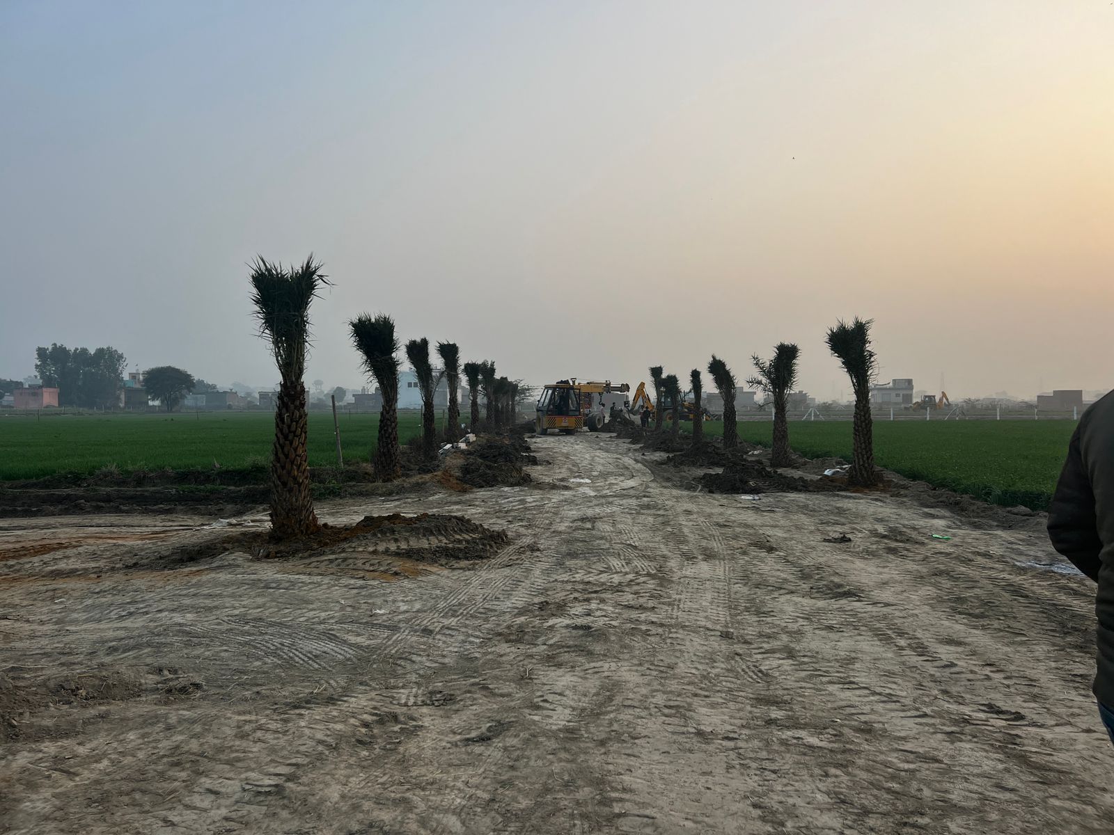 Plot For Sale in Ark Vista