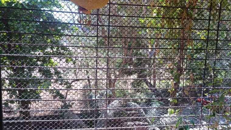 Exterior View, thane west 1 Bedroom 435 Sq.Ft. Apartment In Thane West Thane 8322129