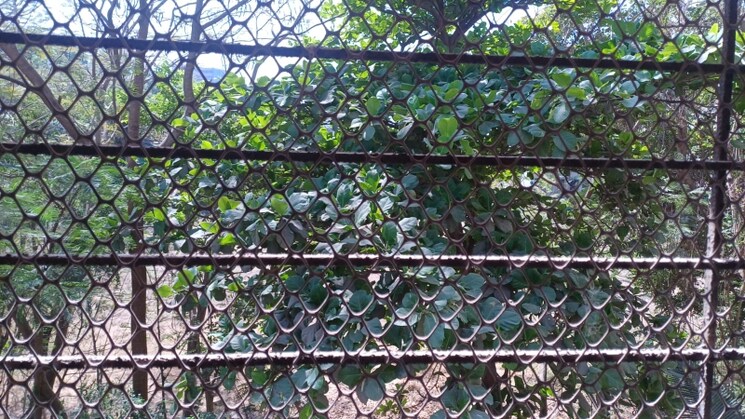 Exterior View, thane west 1 Bedroom 435 Sq.Ft. Apartment In Thane West Thane 8322129