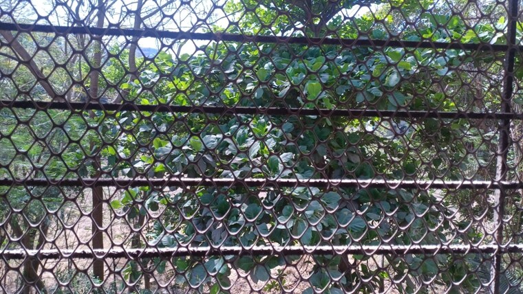 Exterior View, thane west 1 Bedroom 435 Sq.Ft. Apartment In Thane West Thane 8322129