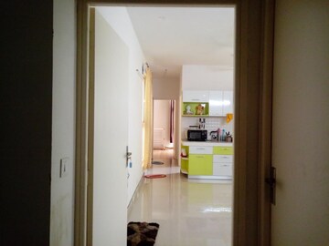 2 BHK Apartment For Rent in Tulip Lemon Sector 69 Gurgaon  8322127