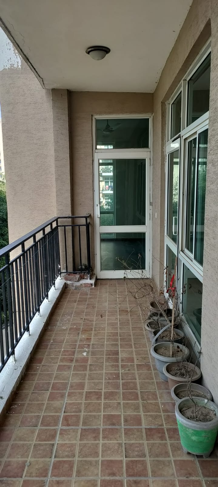 3.5 BHK + Study Room 1930 Sq.Ft. Apartment in Omaxe Spa Village