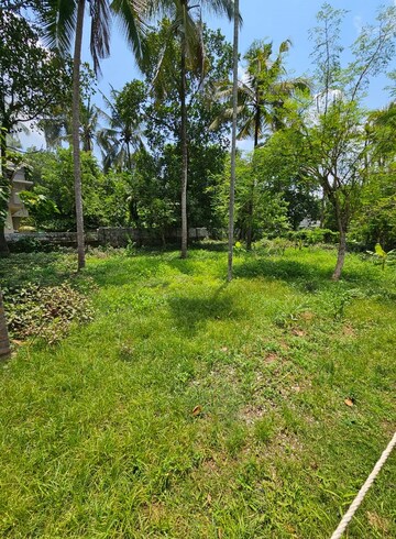 Plot Area in  Plot at Marathakkara – for Sale