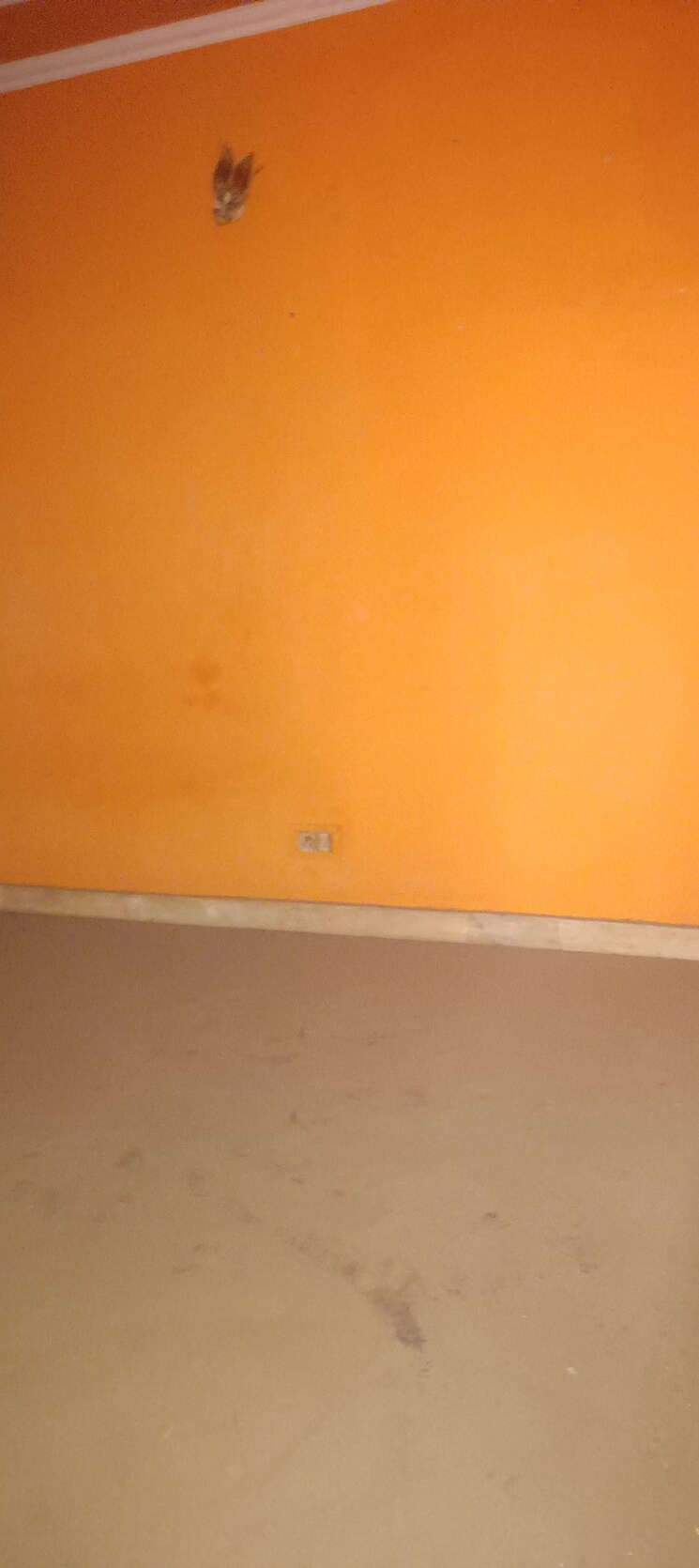 undefined, raj nagar extension 1 Bedroom 345 Sq.Ft. Builder Floor In Raj Nagar Extension Ghaziabad 8322509