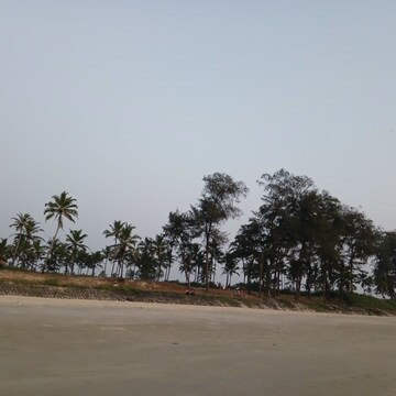  Land – Exterior View View at Alinagar - for Sale