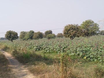  Plot For Sale in Near Vaishno Devi Circle On Sg Highway