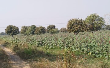 Plot For Sale in Near Vaishno Devi Circle On Sg Highway
