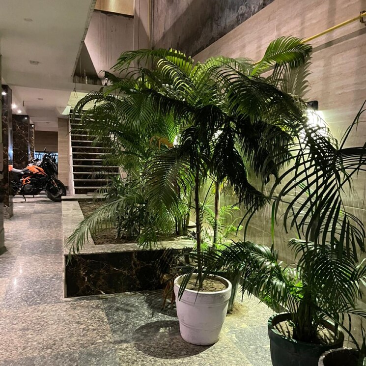 Exterior View, saket 1 Bedroom 650 Sq.Ft. Builder Floor In Saket Delhi 8323423