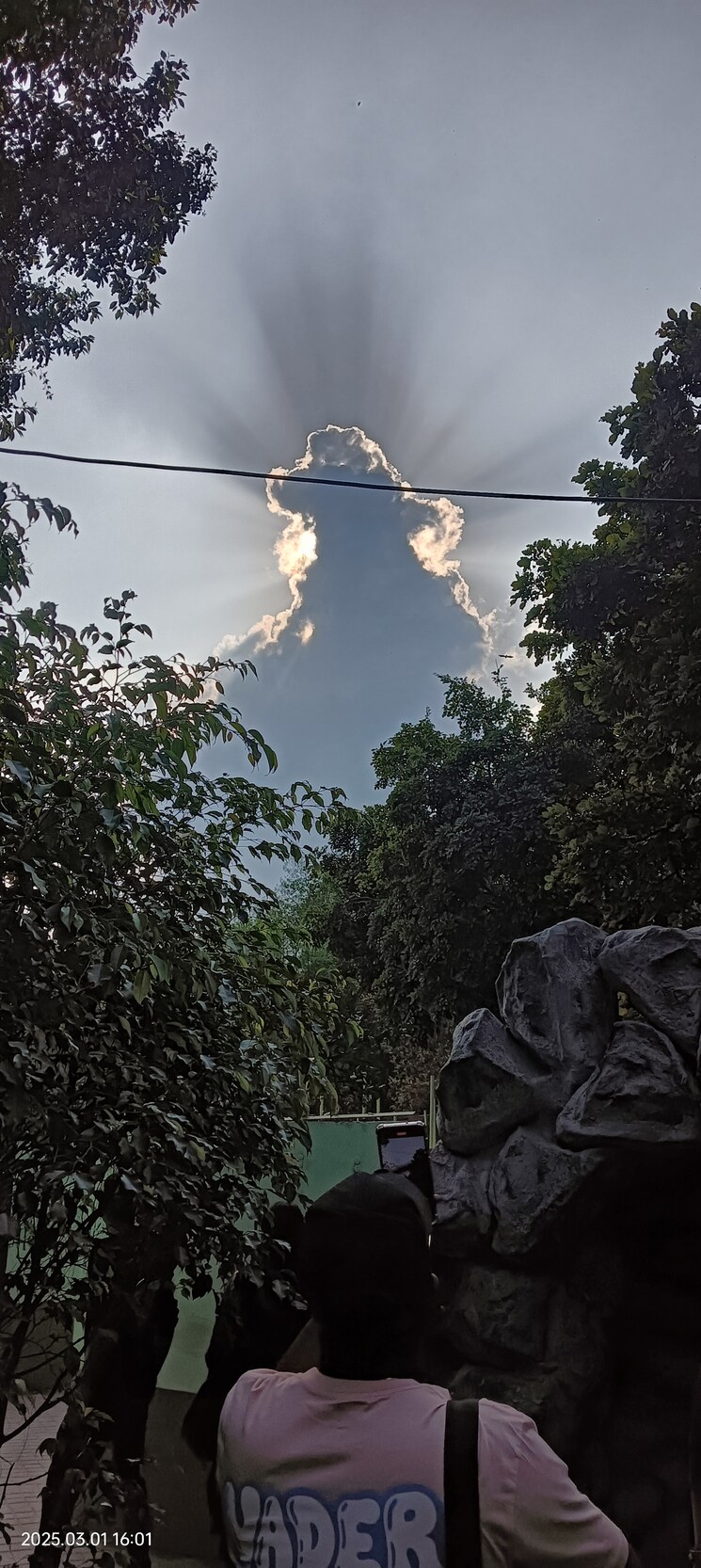 Exterior View, ms-enclave-zirakpur  250 Sq.Yd. Plot In Dhakoli Village Zirakpur 8323513