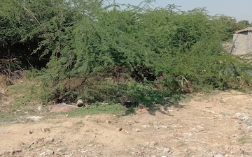 Plot For Sale in Alwar Bhiwadi Road
