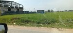 12100 Sq.Ft. Industrial Plot in Khushkhera