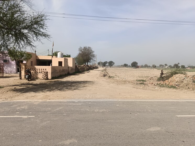 undefined, dhanni badwali Commercial Land 6 Acre In Dhanni Badwali Hisar 8324036