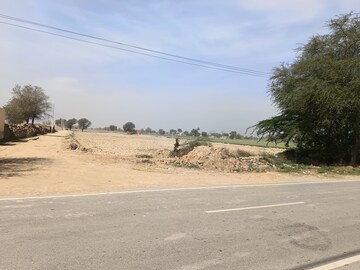 Plot Area in  Land at Dhanni Badwali – for Sale