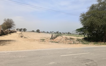 Land For Sale in Dhanni Badwali