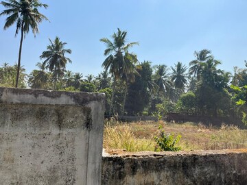  Plot For Sale in Chembukkavu