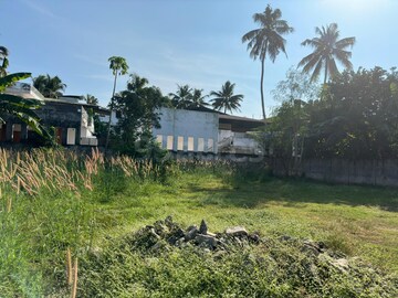 Plot Area in  Plot at Chembukkavu – for Sale