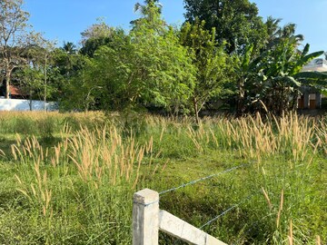 Plot Area in  Plot at Chembukkavu – for Sale