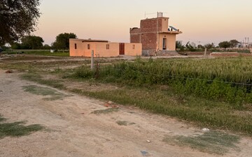 Plot For Sale in Sector 144