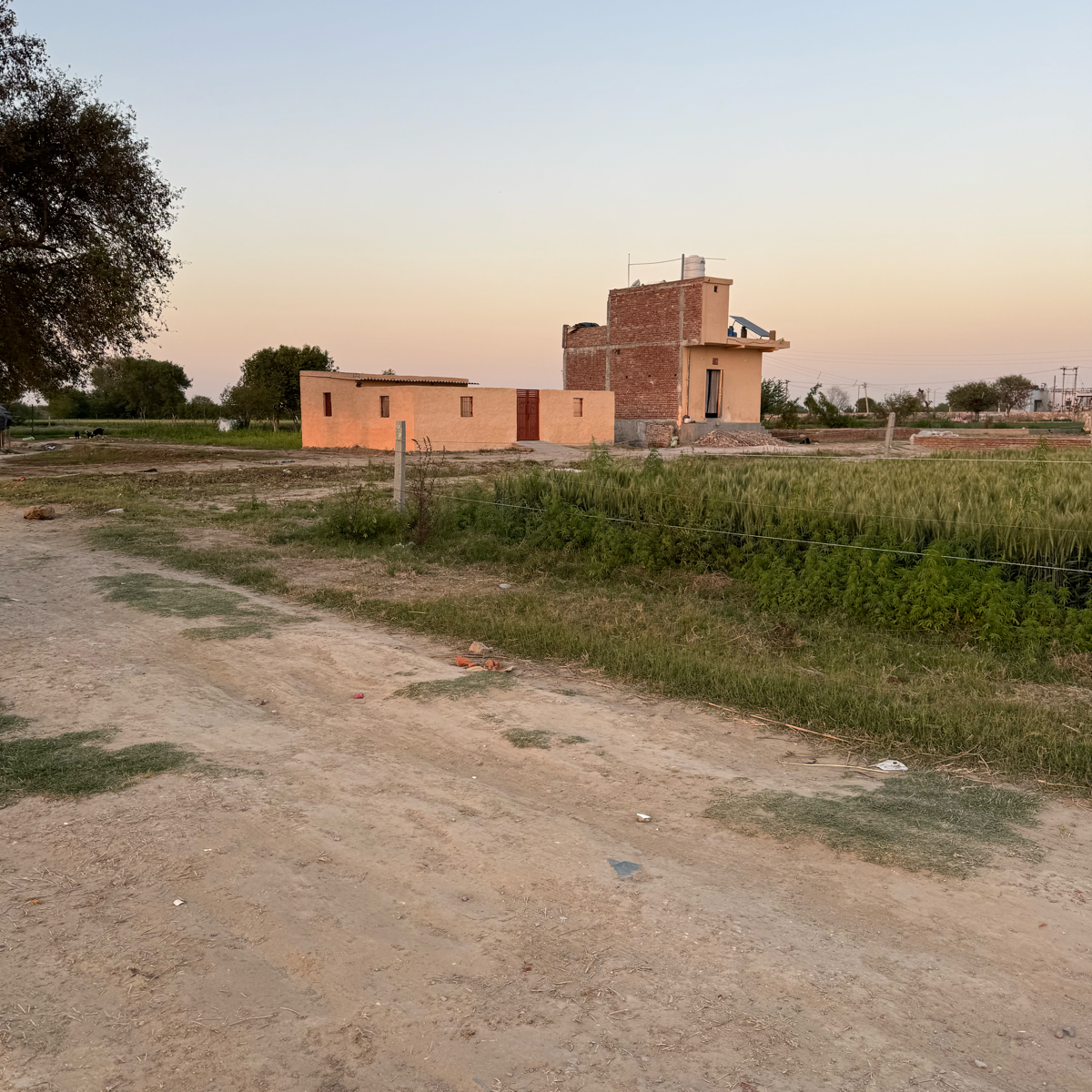 Plot For Sale in Sector 144