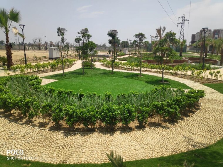 Garden, puri-kohinoor 3 Bedroom 150 Sq.Yd. Builder Floor In Sector 89 Faridabad 8324442