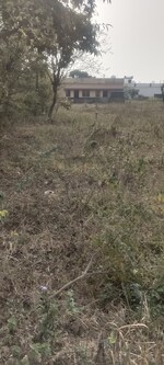 200 Sq.Yd. Plot in Dharma Properties Dehradu