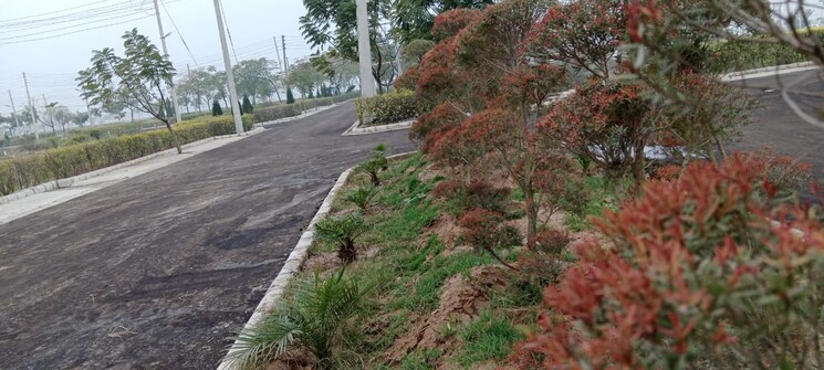 Garden, barsat road Commercial Industrial Plot 572 Sq.Yd. In Barsat Road Panipat 8324757