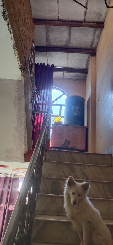 Staircase in 3 BHK Independent House at Teri Bagiya – for Sale