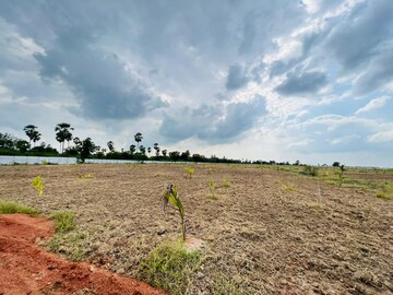  Plot – Exterior View View at Bhongiri Warangal Highway - for Sale
