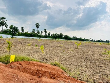 Plot Area in  Plot at Bhongiri Warangal Highway – for Sale