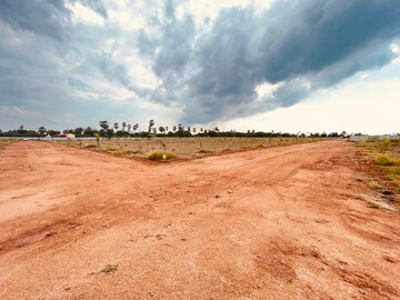 Plot Area in  Plot at Bhongiri Warangal Highway – for Sale