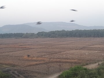 Plot Area in  Plot at Uran – for Sale