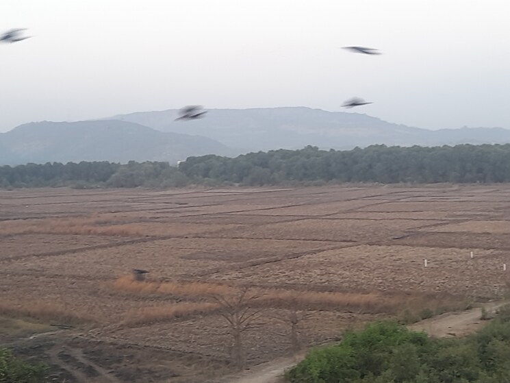 undefined, uran  1010 Sq.Mt. Plot In Uran Navi Mumbai 8325412