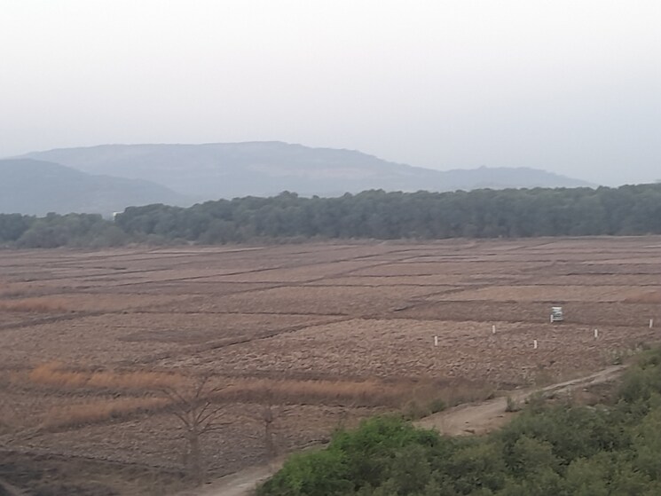 undefined, uran  1010 Sq.Mt. Plot In Uran Navi Mumbai 8325412