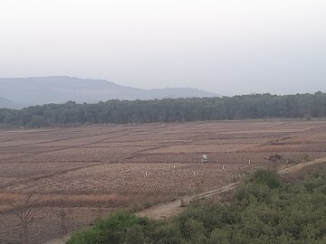 Plot Area in  Plot at Uran – for Sale