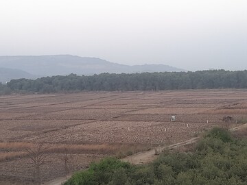 Plot Area in  Plot at Uran – for Sale