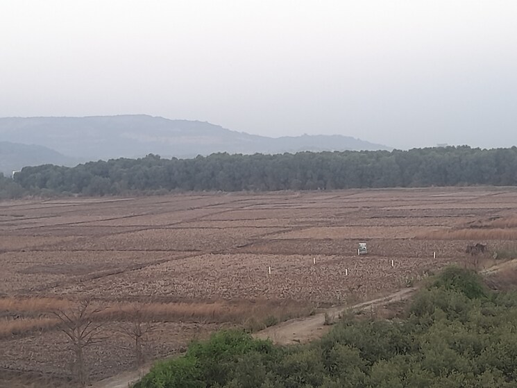 undefined, uran  1010 Sq.Mt. Plot In Uran Navi Mumbai 8325412