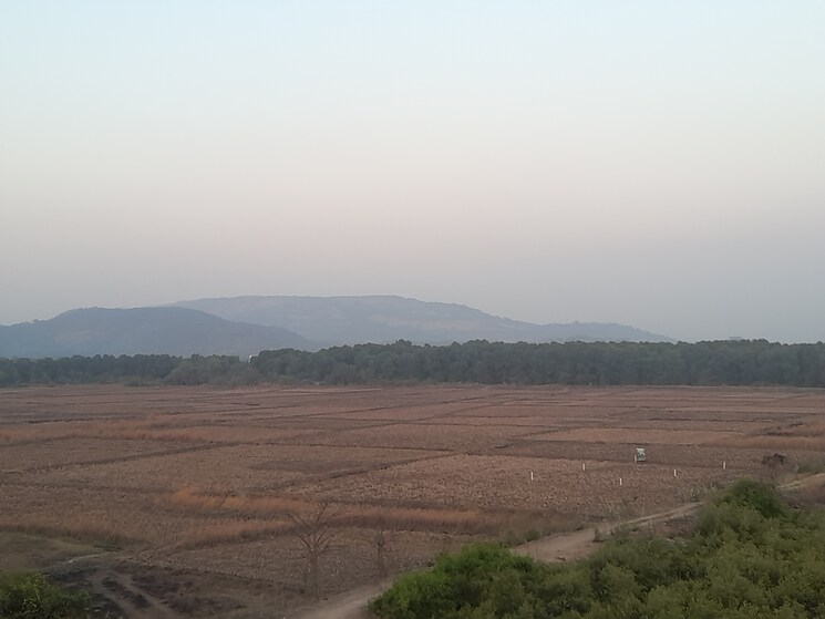 undefined, uran  1010 Sq.Mt. Plot In Uran Navi Mumbai 8325412