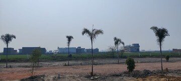 Plot Area in  Plot at Kalwara – for Sale