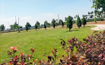 Plot For Sale in Bhatagaon