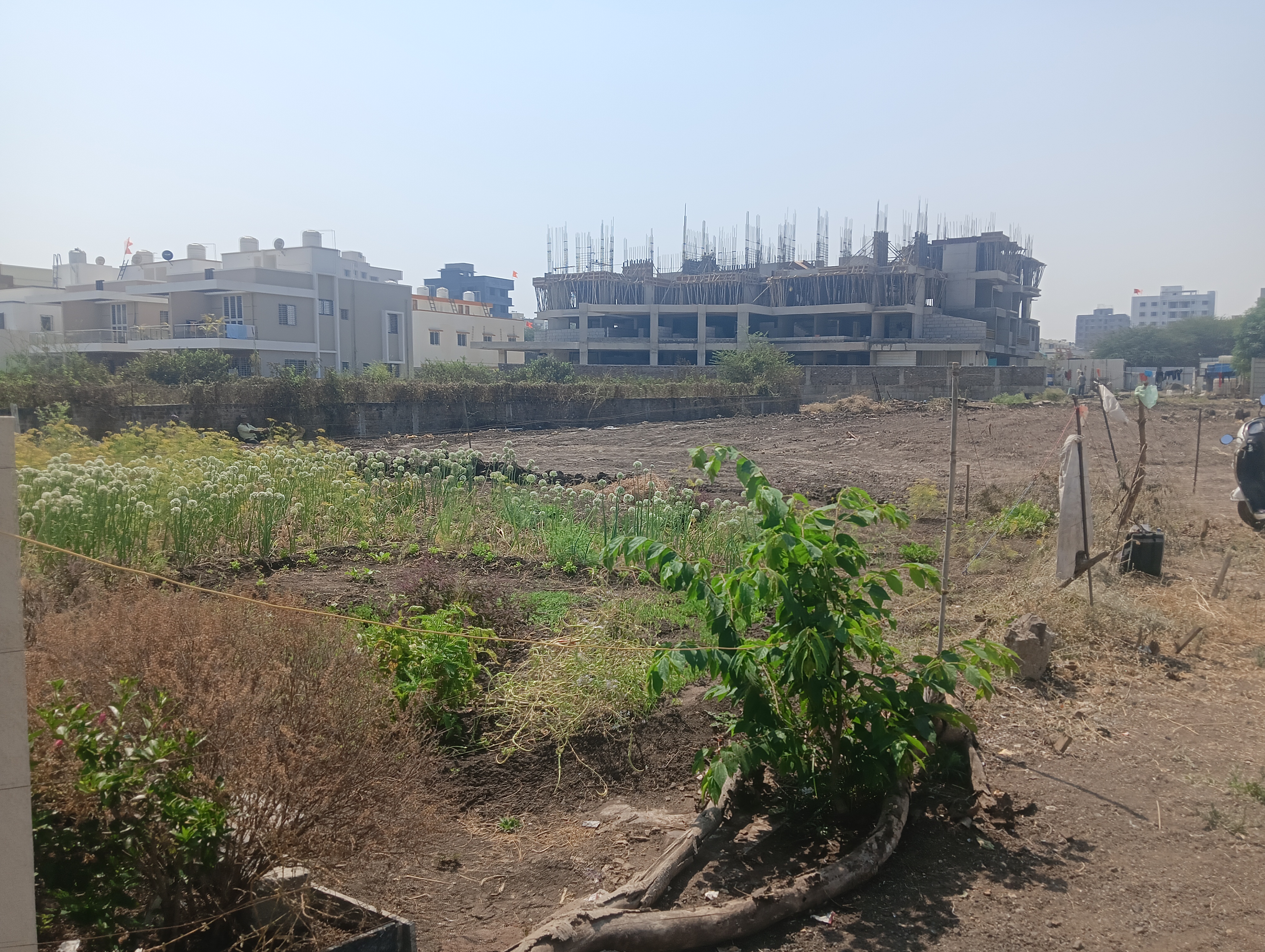 Plot For Sale in Urban Nest 