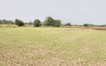 Plot For Sale in Sector 2 Vashi