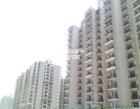 3 BHK Apartment For Rent in Amrapali Golf Homes, Sector 4, Greater Noida