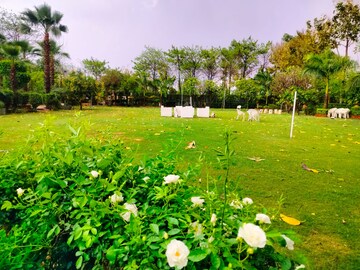  Plot – Garden View at Sector 151 - for Sale