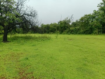 Plot Area in  Plot at Pen – for Sale